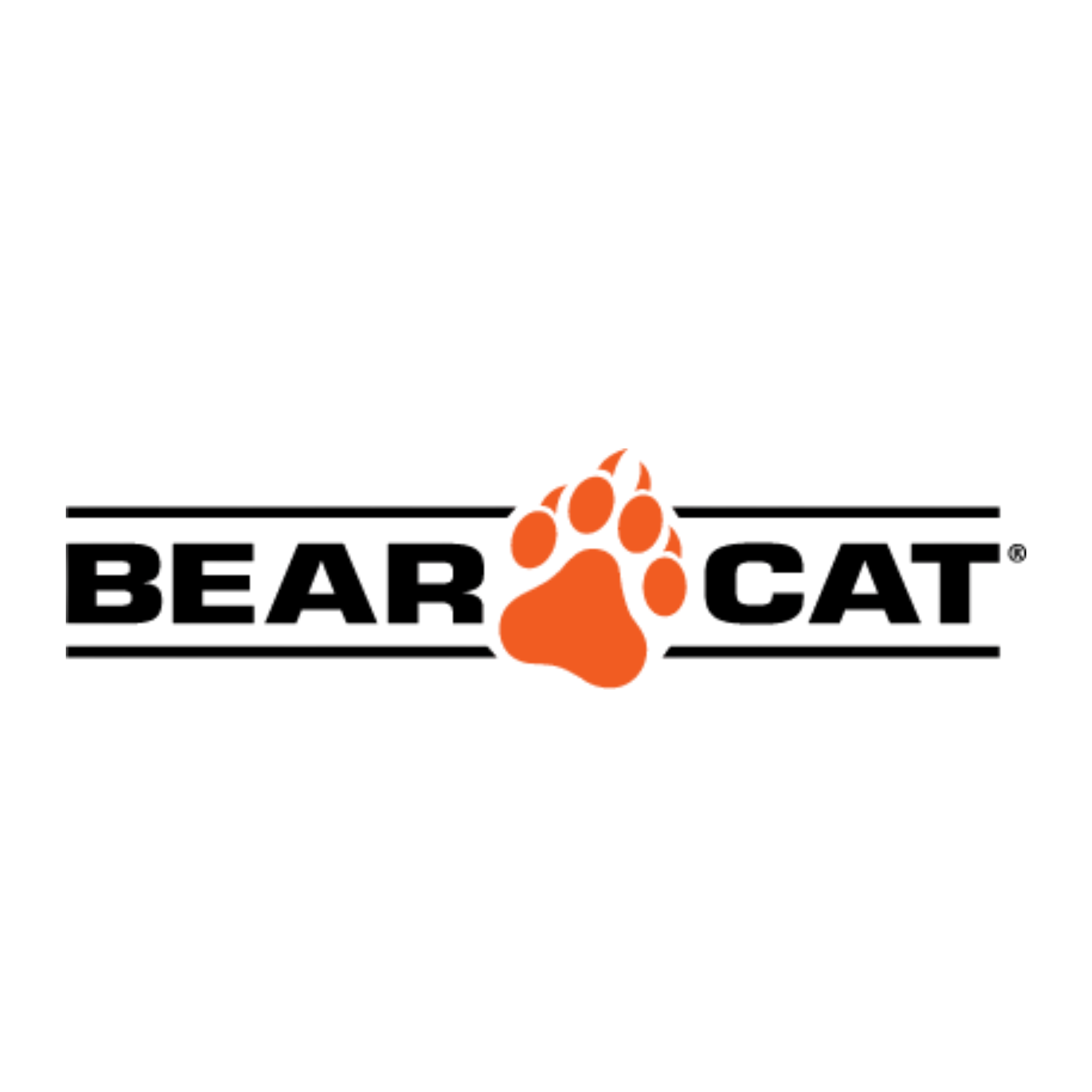 Bear Cat